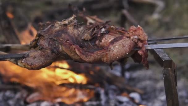 Fowl preparing, Hunting theme. Cooking a whole Pheasant body on an iron skewers over a campfire with burning coals and hot flames made on the ground, close up view of a delicious crispy brown bird — Stock Video