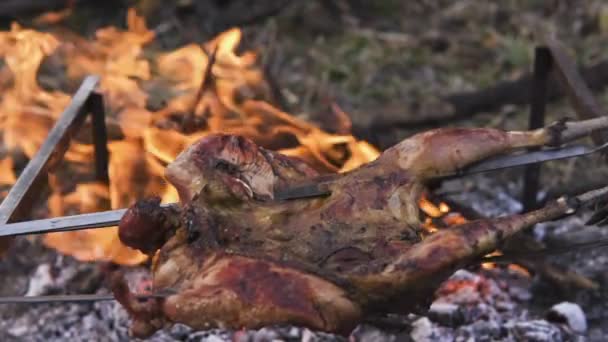 닭 사냥 테마를 준비. 맛 있는 파 삭 파삭한 갈색 새 볼을 닫습니다 불타는 석탄 및 뜨거운 화 염 지상에 만든와 모닥불 철 꼬치에 전신 꿩 요리, — 비디오