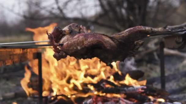 Preparación de aves, tema de caza. Cocinar todo un cuerpo de faisán en un pincho de hierro sobre una fogata con brasas ardientes y llamas calientes hechas en el suelo, ver de cerca un delicioso pájaro marrón crujiente — Vídeo de stock