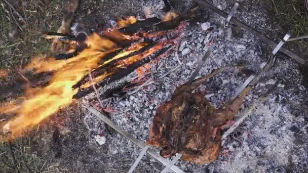 鶏、狩猟のテーマを準備します。鉄串に全身キジ料理を非常に熱い石炭および地面に作られた熱い炎とキャンプファイヤー、クローズ アップおいしいクリスピー茶色の鳥観 — ストック動画