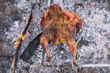 Tavuk yemeği hazırlarken, av tema. Bir kamp ateşi ile yanan kömürlerin ve yerde yapılan sıcak alevler içinde bir bütün sülün vücut demir şiş üzerinde yemek, lezzetli çıtır kahverengi kuş görünümü kapatın
