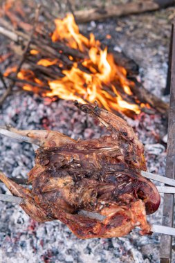 Tavuk yemeği hazırlarken, av tema. Bir kamp ateşi ile yanan kömürlerin ve yerde yapılan sıcak alevler içinde bir bütün sülün vücut demir şiş üzerinde yemek, lezzetli çıtır kahverengi kuş görünümü kapatın