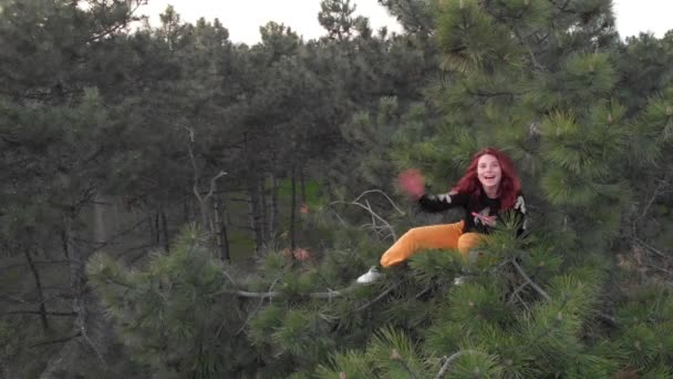 Desportivo ativo alegre ruiva jovem subir no topo do pinheiro. Tiro aéreo Floresta de coníferas — Vídeo de Stock