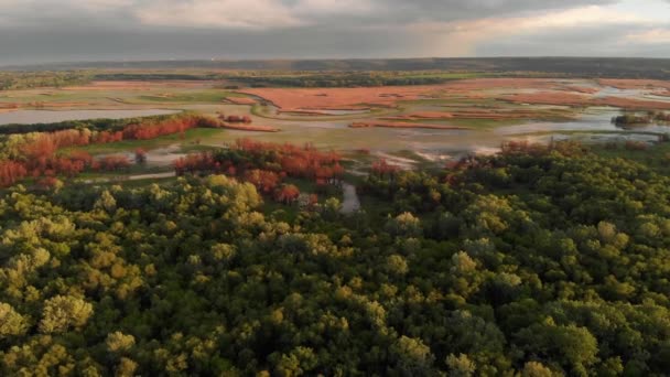 Lente landelijke luchtfoto landschap. Overloop land rivier overstroming lucht panorama. Dnister, rivier de Dnestr op de grens van Oekraïne en Moldavië — Stockvideo