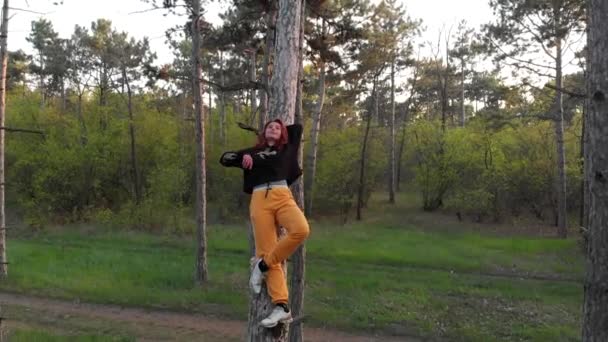 Voando longe tiro aéreo de menina ruiva esportiva ativa estava na árvore de pinho na floresta de coníferas — Vídeo de Stock