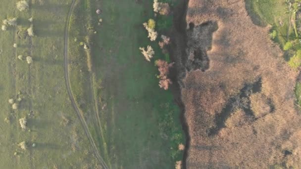 Volando por encima de un gran lago rodeado de campos verdes al atardecer. Estanque y liman con caña y ranas — Vídeo de stock