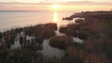 Gün batımında yeşil tarlalarla çevrili büyük gölün üzerinde uçmak. Gölet ve liman sazlık ve kurbağalar ile