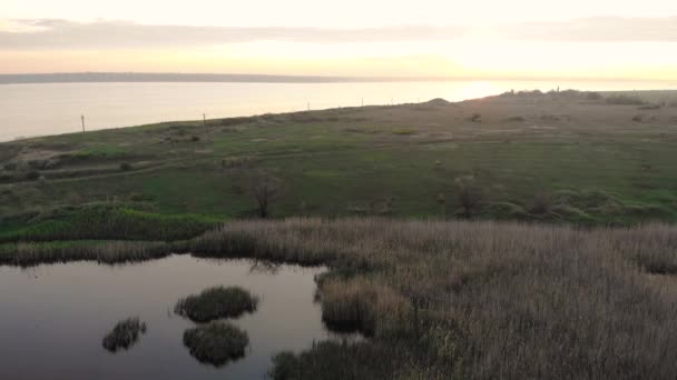 在日落时分，在大湖上空飞行，周围是绿色的田野。池塘和利曼与簧片和青蛙 — 图库视频影像