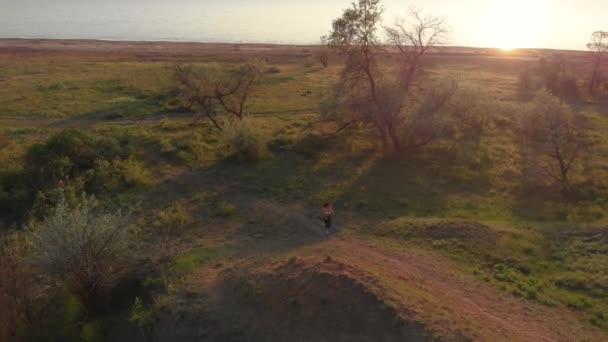 Luftaufnahme einer jungen, sportlichen Frau, die bei schönem Sonnenaufgang oder Sonnenuntergang in der Nähe des Sees oder des Limes im Freien läuft — Stockvideo