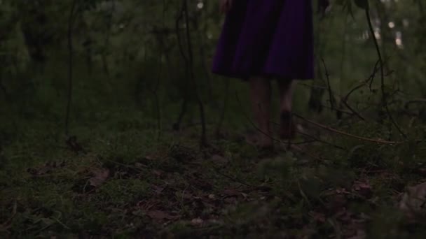 Jovem mulher bonita caminha descalça na floresta em uma saia roxa no crepúsculo tempo — Vídeo de Stock
