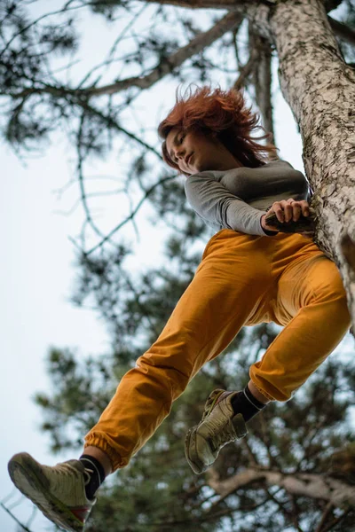 Jovem mulher destemida feliz subindo em um grande pinheiro na floresta. Árvore escalada, emoções, conceito positivo feliz — Fotografia de Stock