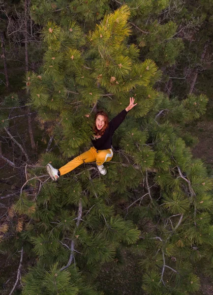 Menina ruiva desportiva ativa subiu no topo do pinheiro. Estilo de vida aéreo tiro de mulher jovem na floresta de coníferas — Fotografia de Stock