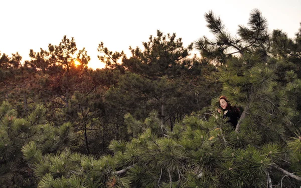 Menina ruiva desportiva ativa subiu no topo do pinheiro. Estilo de vida aéreo tiro de mulher jovem na floresta de coníferas — Fotografia de Stock