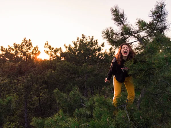 Aktive sportliche rothaarige Mädchen kletterte auf die Spitze der Kiefer. Luftaufnahme einer jungen Frau im Nadelwald — Stockfoto