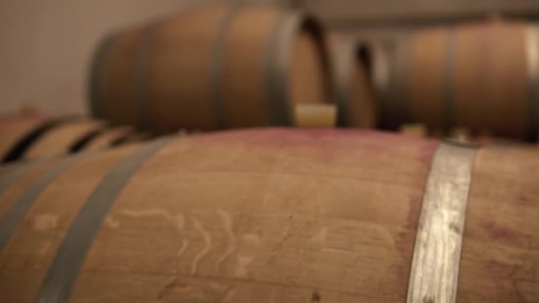 Rader av ek fat i vin hålla ut källare — Stockvideo