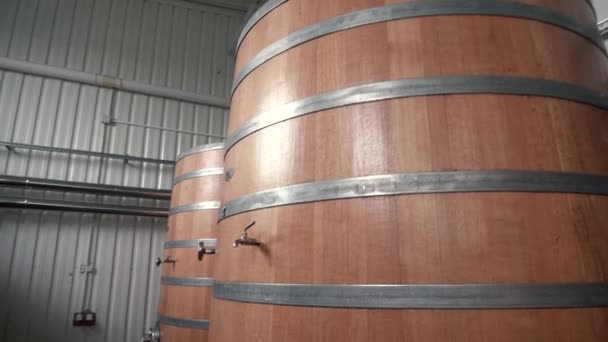 Wine factory hall with Huge vertical wine Oak wooded barrels where the grapes are fermented — Stock Video