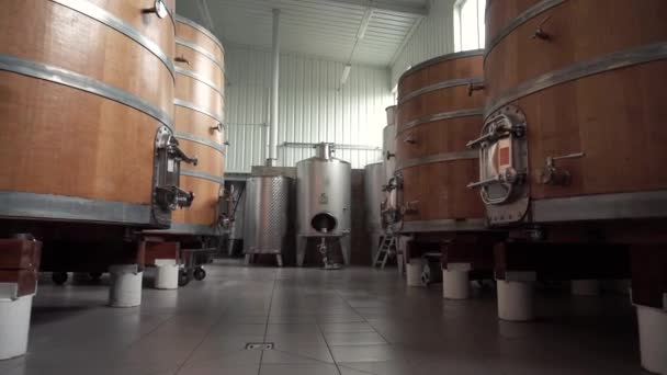 Wine factory hall with Huge vertical wine Oak wooded barrels where the grapes are fermented — Stock Video