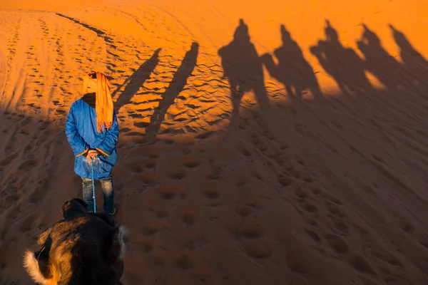 Camelos caravana sombras projetadas sobre Erg Chebbi dunas de areia do deserto em Marrocos — Fotografia de Stock