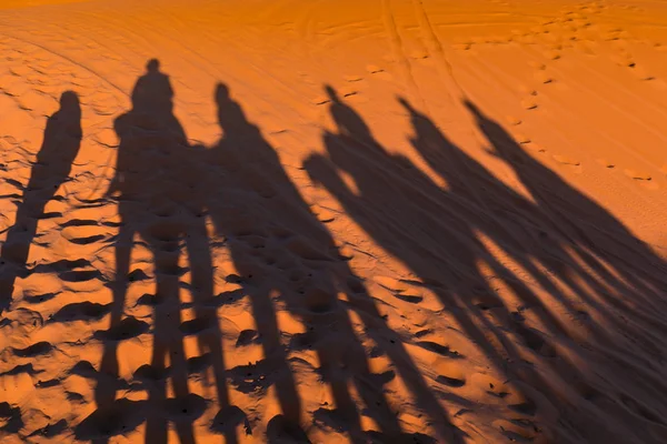 Fas'ta Erg Chebbi çöl kum tepeleri üzerinde yansıtılan Camels kervan gölgeler