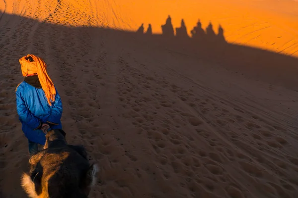 Camelos caravana sombras projetadas sobre Erg Chebbi dunas de areia do deserto em Marrocos — Fotografia de Stock