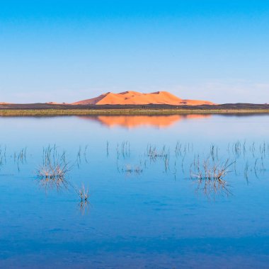 Erg Chebbi'nin kum tepeleri ve bir gölün yansıması. Merzouga kasabası yakınlarında çekilen manzara fotoğrafı, Sahra Çölü, Fas