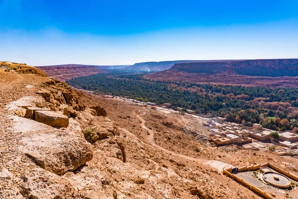 Fas'ın Ziz vadisinde büyük palmiye korusu. Havadan görünüm