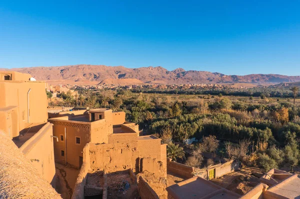 View on the oasis near the city of Tinerhir, Morocco — Stock Photo, Image