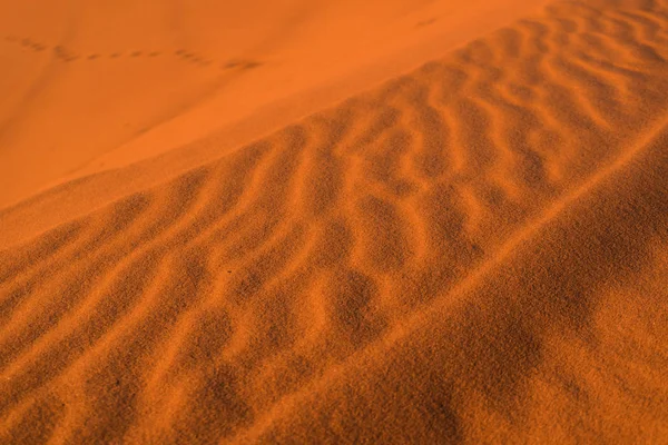 Sandstruktur in der Goldwüste bei Sonnenuntergang — Stockfoto