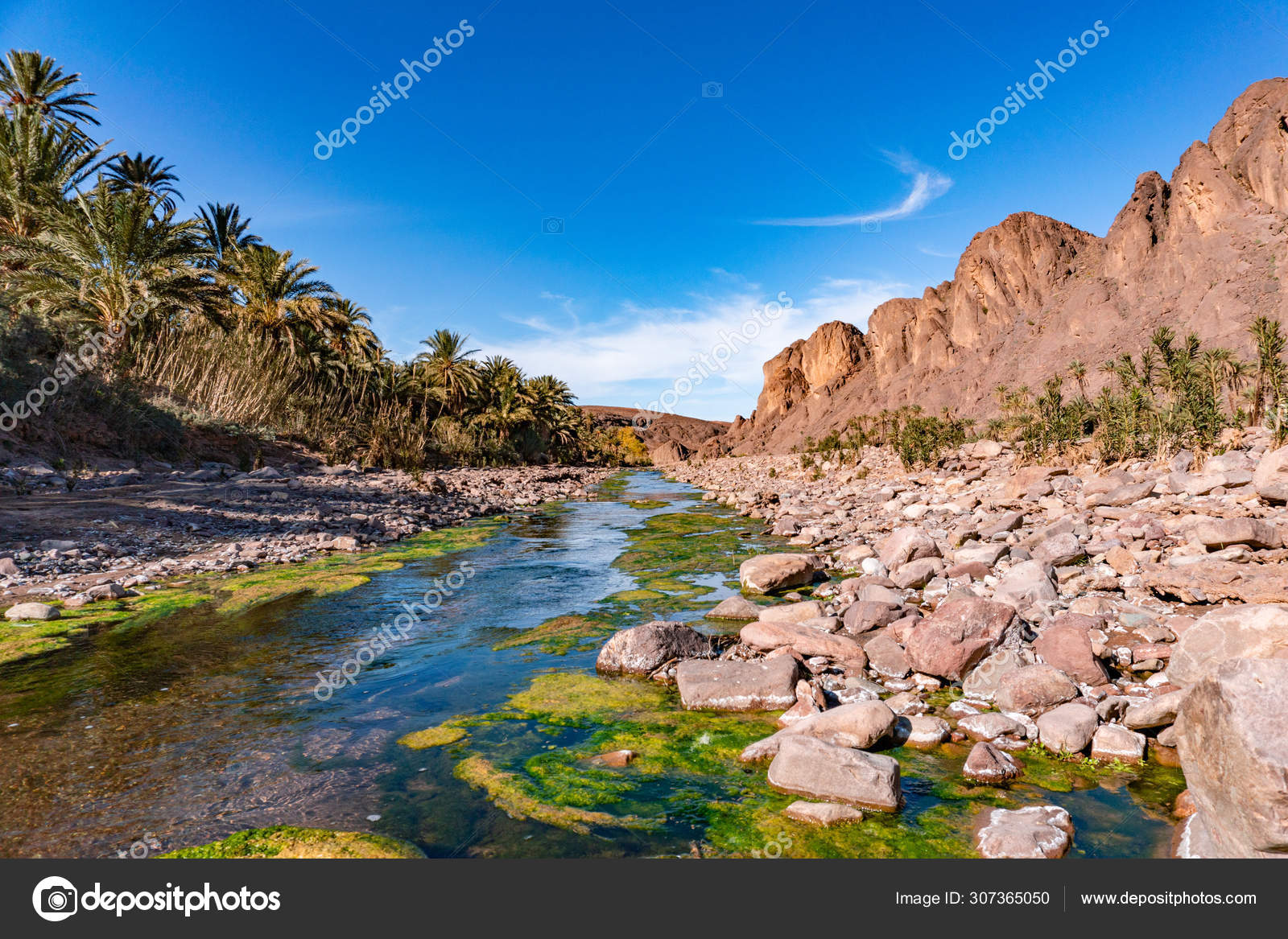 Fresh　Morocco,　near　Photo　nature　Stock　Fint　De　Africa　oasis　landscape　North　Desert　in　Ourzazate　river　by　in　Beautiful　in　307365050　Oasis　©tomasadzke