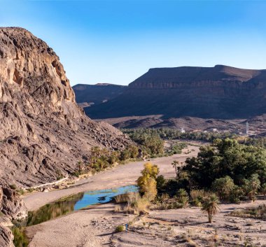 Kuzey Afrika, Fas 'taki Ourzazate yakınlarındaki Oasis De Fint' te güzel bir çöl vahası manzarası.