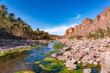 Fas, Kuzey Afrika Ourzazate yakınlarındaki Oasis De Fint Beautiful Desert vaha doğa manzara Taze nehir