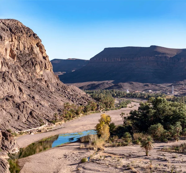 Beautiful Desert oasis landscape in Oasis De Fint near Ourzazate in Morocco, North Africa