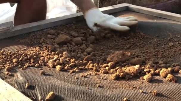 Tutup tembakan memilah-milah tanah liat kering untuk membangun rumah sederhana dari batu bata udara adobe — Stok Video