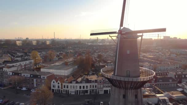 Beautiful windmills in Schiedam province South Holland, these highest windmills in the world also known as burner mills were used for grinding grain that was used for the Famous local Gin industry. — Stock Video