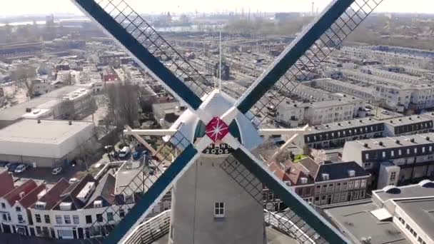 Beautiful windmills in Schiedam province South Holland, these highest windmills in the world also known as burner mills were used for grinding grain that was used for the Famous local Gin industry. — Stock Video