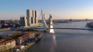 Rotterdam 'da Erasmus Köprüsü ve yüksek binalar manzaralı Noordereiland Adası Bölgesi' nden uçuyor..