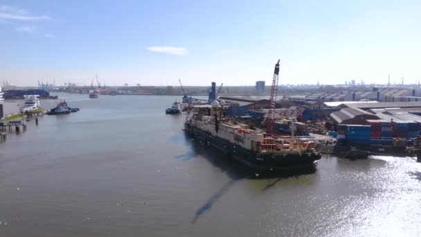 Schiedam, Holland - marts 2020: Flokken af måger svæver rundt om fragtskibet i Nieuwe Maas fra kajen ved Schiedam – Stock-video