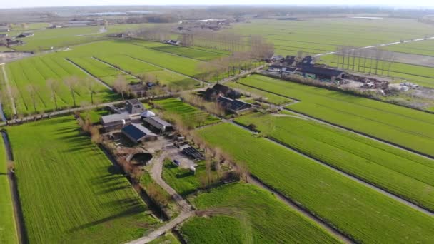 Aerial Flyby Shot of a beautiful Farm in the Netherlands surrounded with Bright green Fields in a evening hour — Stock video