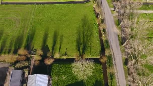 Aerial Flyby Shot of a beautiful Farm in The Netherlands rodeado de campos verdes brillantes en una hora de la noche — Vídeos de Stock