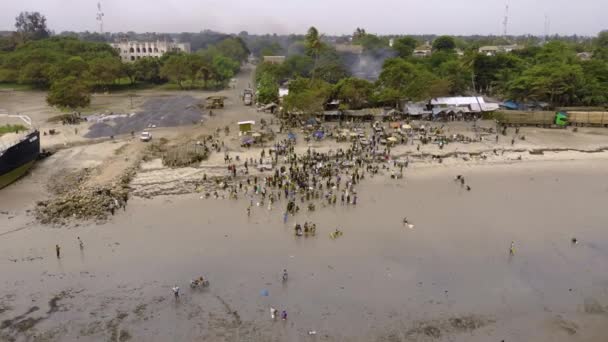 An aerial Flyby shot of Crowd of African people on a Low Tide at the Beach of Bagamoyo, Tanzania — Stock Video