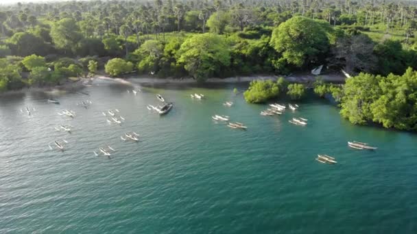 Zdjęcie lotnicze łodzi Dhow na wyspie Pemba, archipelag Zanzibar. Wschodnie wybrzeże wyspy Pemba w pobliżu Mtangani — Wideo stockowe