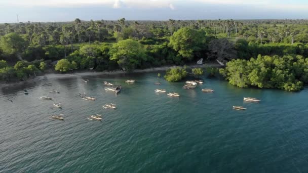 Légi felvétel Dhow hajókról a Pemba szigeten, Zanzibár szigetcsoport. Pemba sziget keleti partja Mtangani közelében — Stock videók