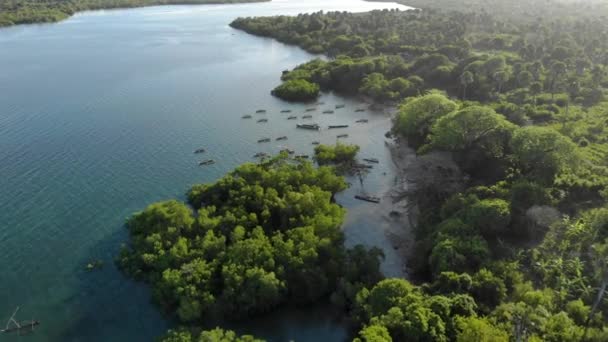 Légi felvétel Dhow hajókról a Pemba szigeten, Zanzibár szigetcsoport. Pemba sziget keleti partja Mtangani közelében — Stock videók