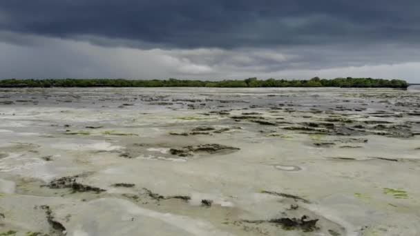 Luftaufnahme. Bei stürmischem Wetter auf der tropischen Insel Pemba im Sansibar-Archipel am flachen Schelfeis vorbeifliegen.