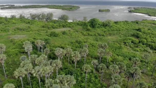空中射击。在桑给巴尔群岛热带岛屿奔巴岛的暴风雨天气中，在绿树茂密的厄瓜多尔雨林上空飞行. — 图库视频影像