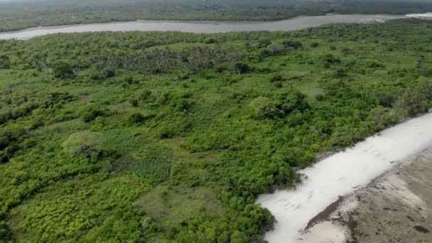 Légi felvétel. Repül a sekély polc homokos caostline Stormy Időjárás trópusi sziget Pemba a Zanzibár szigetcsoport. — Stock videók