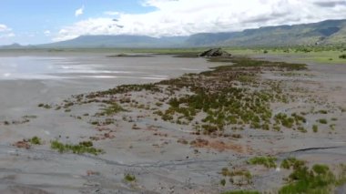 Natron Gölü kıyısındaki Maasai köyünde, Maasai dilinde Tanrı 'nın Dağı, Kuzey Arusha Bölgesi' nde Engare Sero köyü, Ol Doinyo Lengai 'nin önünde Uçan Sinek Manzarası.