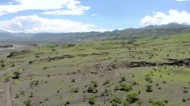 Natron Gölü kıyısındaki Maasai köyünde, Maasai dilinde Tanrı 'nın Dağı, Kuzey Arusha Bölgesi' nde Engare Sero köyü, Ol Doinyo Lengai 'nin önünde Uçan Sinek Manzarası.