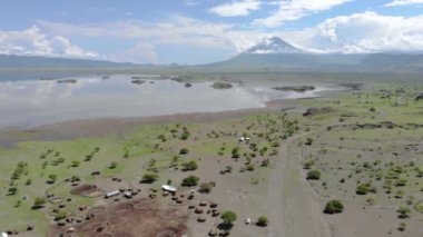 Natron Gölü kıyısındaki Maasai köyünde, Maasai dilinde Tanrı 'nın Dağı, Kuzey Arusha Bölgesi' nde Engare Sero köyü, Ol Doinyo Lengai 'nin önünde Uçan Sinek Manzarası.