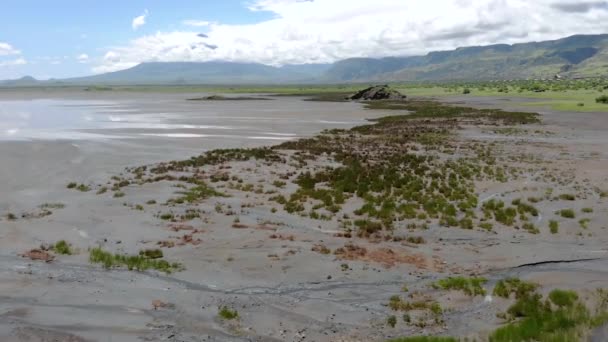 Aerial Flyby View on the Maasai village in on the coast of Natron Lake front of the Ol Doinyo Lengai, Mountain of God in the Maasai language, Engare Sero village in Arusha Region i the Northern — Stock Video